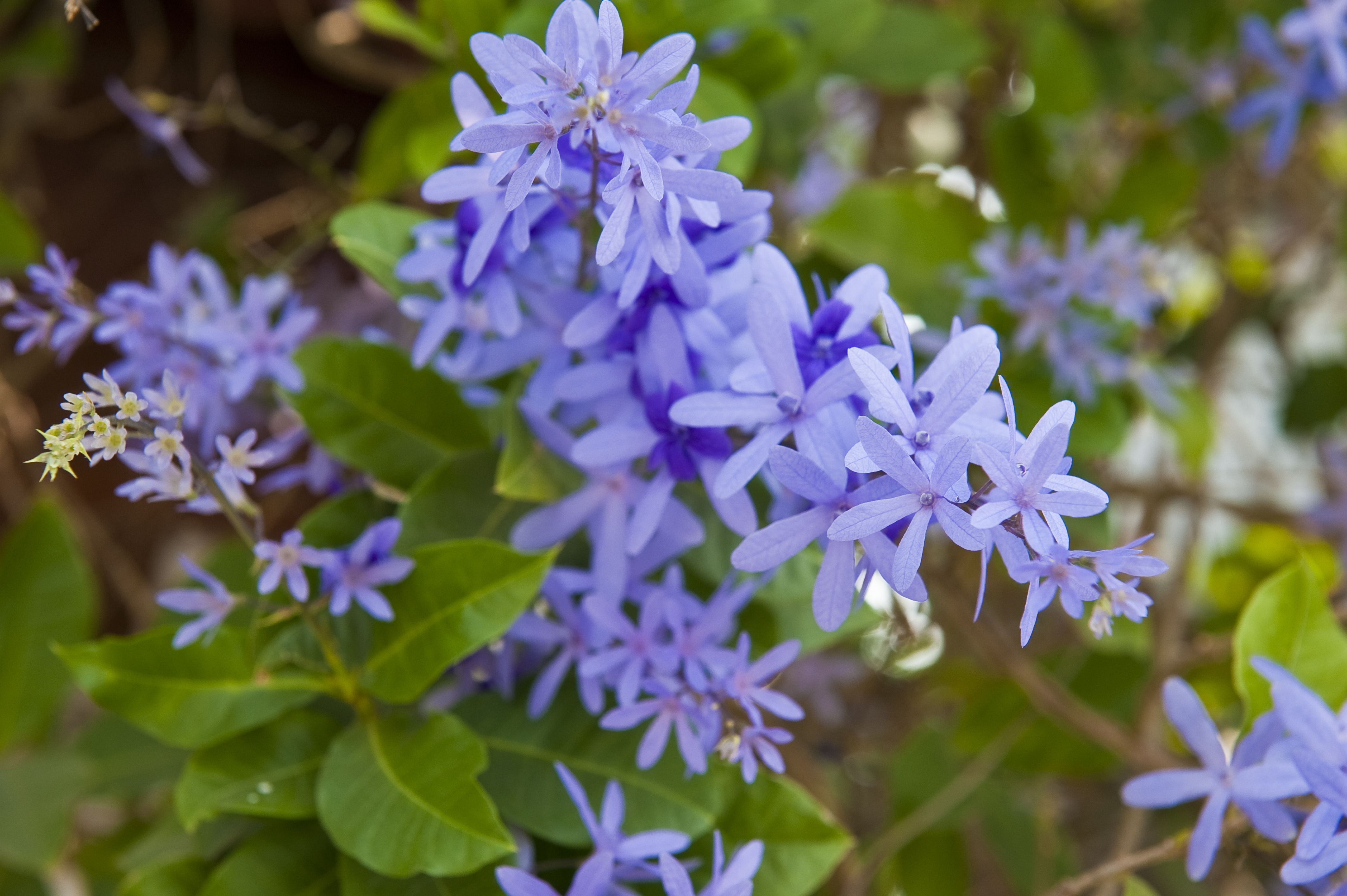 ประกาศรายชื่อผู้รับทุนการศึกษานิสิตคณะสังคมศาสตร์ เนื่องในวันสถาปนาคณะสังคมศาสตร์ ครบรอบ 47 ปี (เพิ่มเติมครั้งที่ 2)