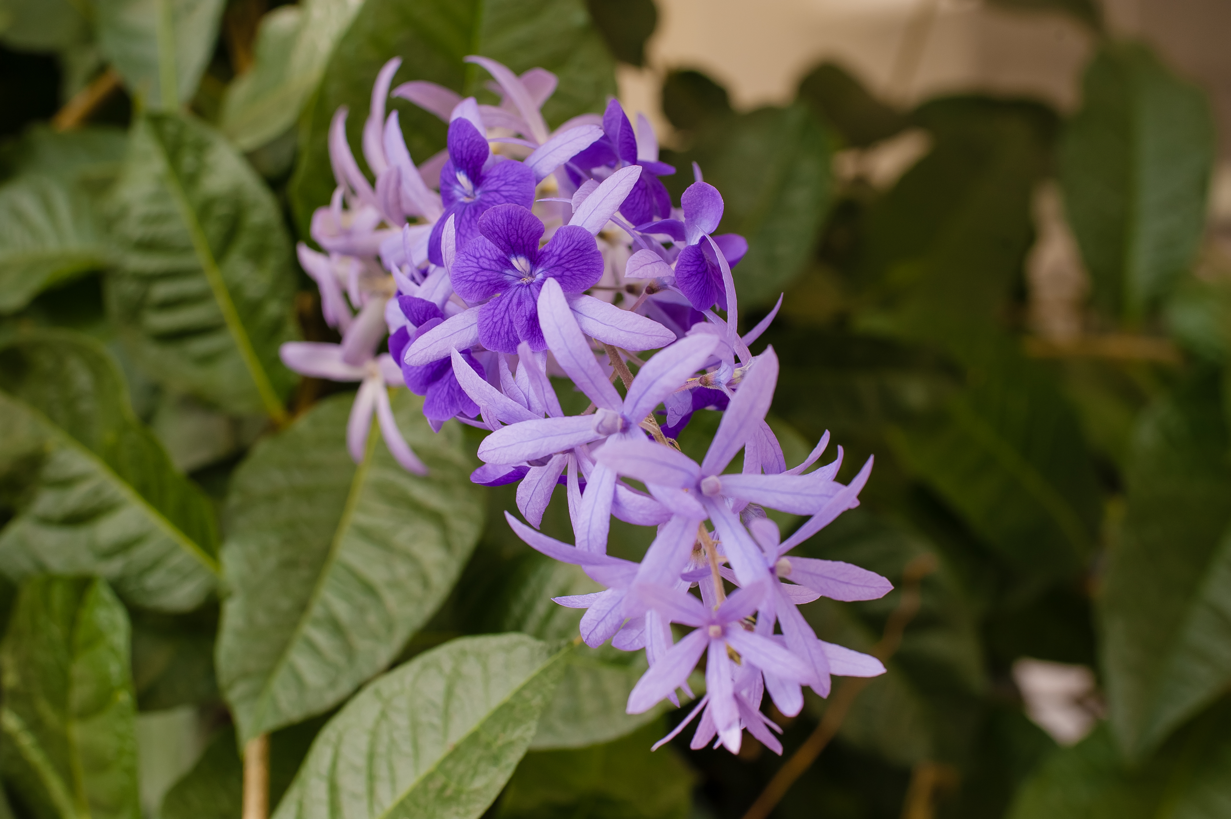 ดาวน์โหลดแผ่นพับประชาสัมพันธ์