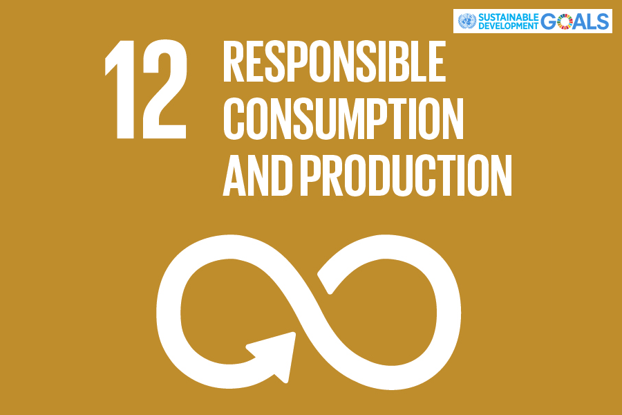 12 แผนการบริโภคและการผลิตที่ยั่งยืน