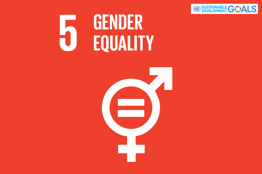 5 ความเท่าเทียมทางเพศ