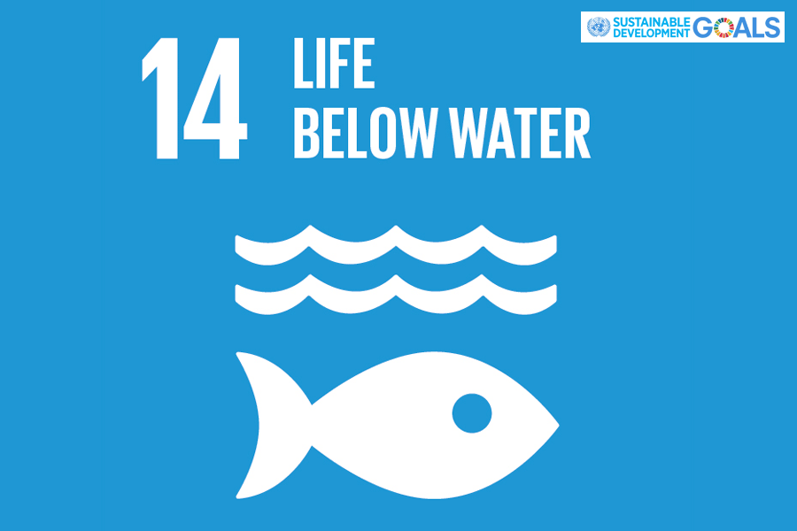 14 การใช้ประโยชน์จากมหาสมุทรและทรัพยากรทางทะเล